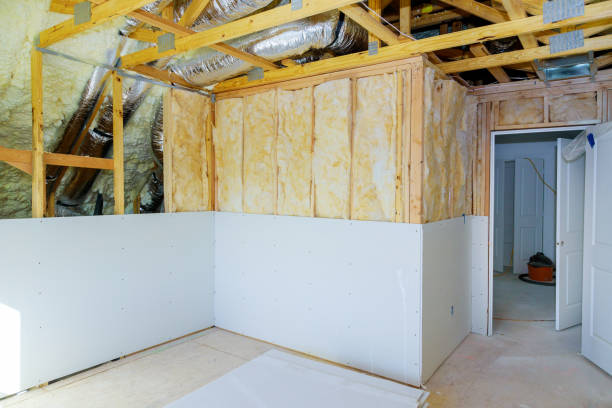 Best Insulation Maintenance and Repair in Willacoochee, GA
