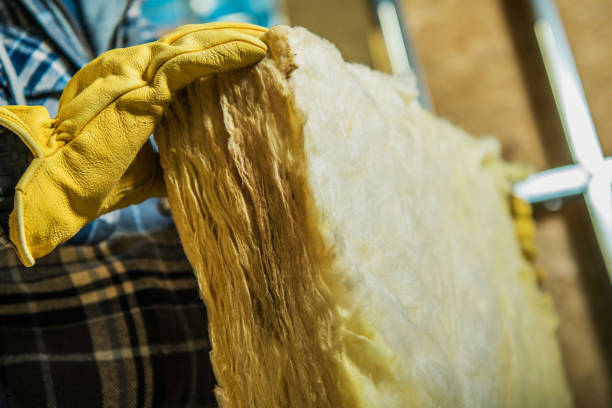 Best Commercial Insulation in Willacoochee, GA
