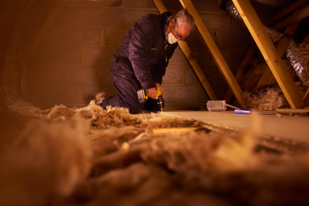 Best Residential Insulation in Willacoochee, GA