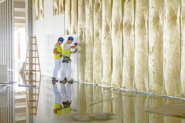 Best Types of Insulation in Willacoochee, GA